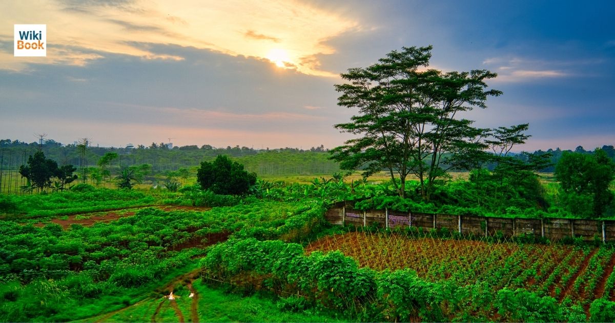 kam lagat me kheti ka tarika