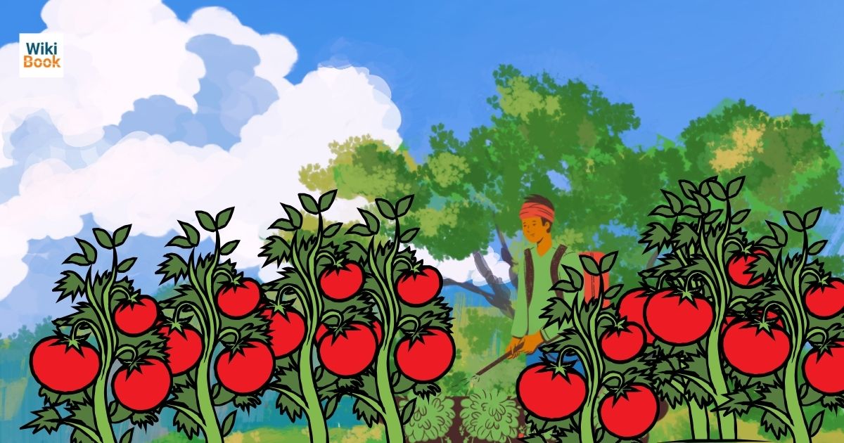 sabji ki kheti kaise kare