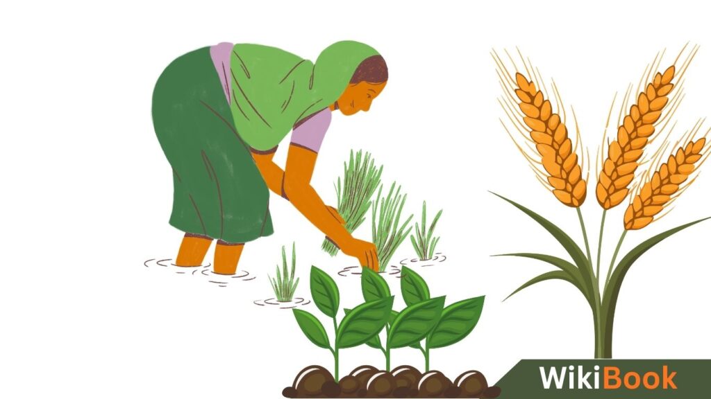 कृषि का विकास