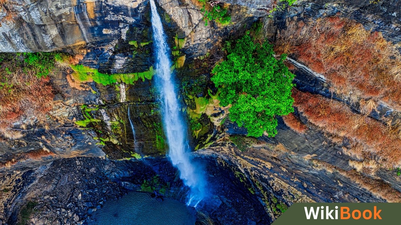 प्राकृतिक