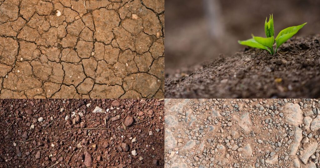 मिट्टी के प्रकार